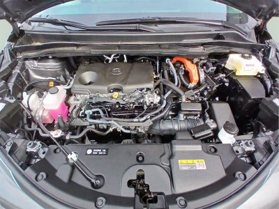 2025 Toyota Sienna LE 8-Passenger