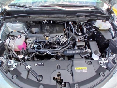2025 Toyota Sienna XLE FWD 8-PASSENGER