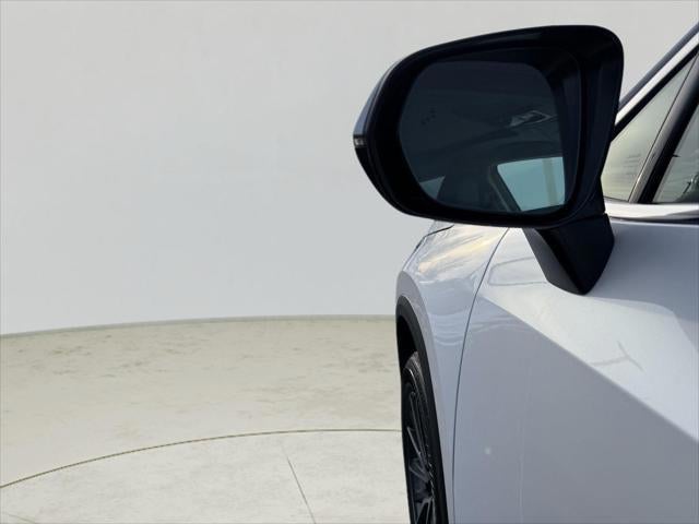 2025 Lexus NX 250