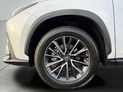 2025 Lexus NX 250