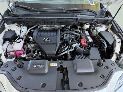 2024 Lexus NX 350 NX 350