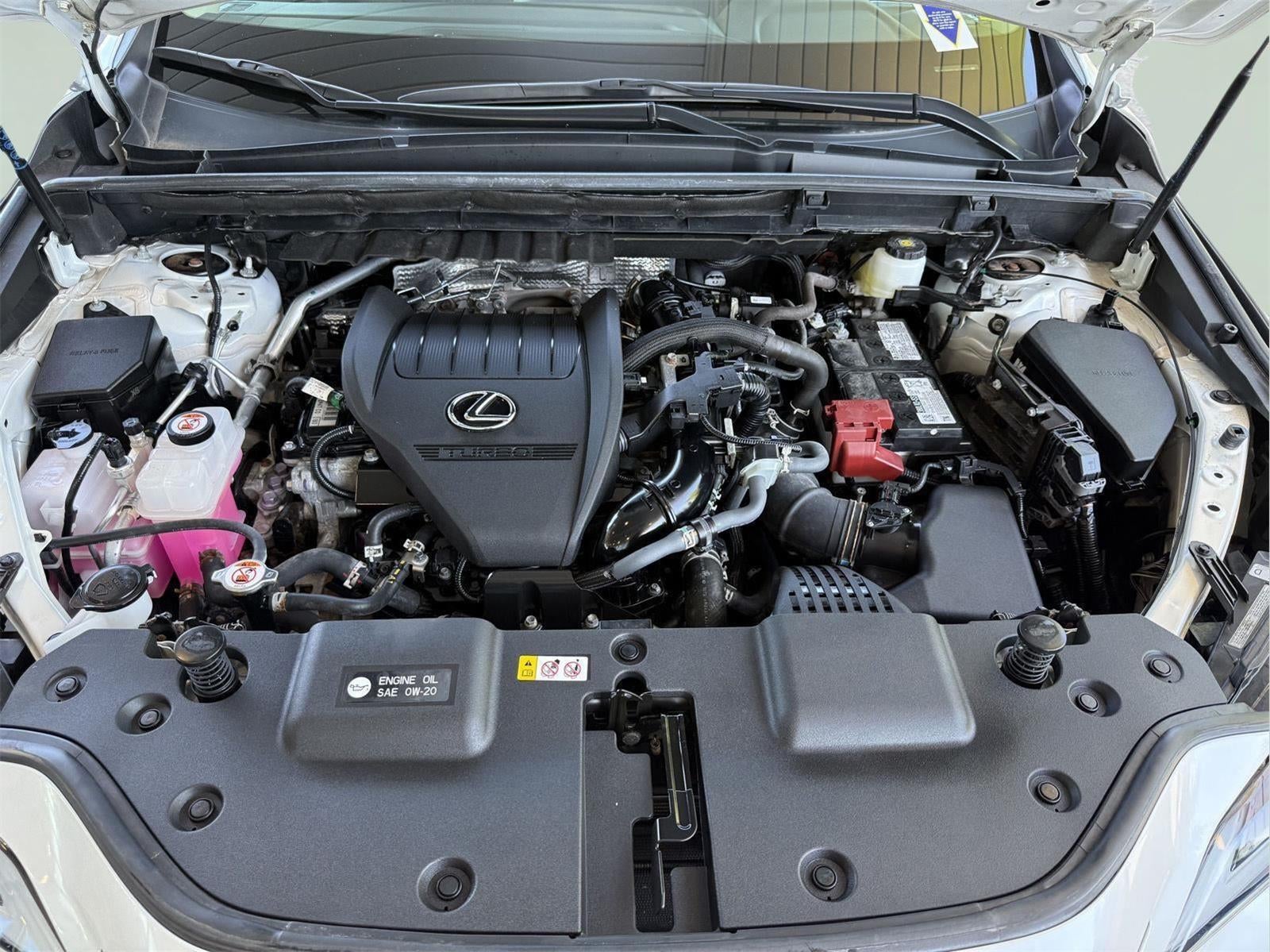 2024 Lexus NX 350 NX 350