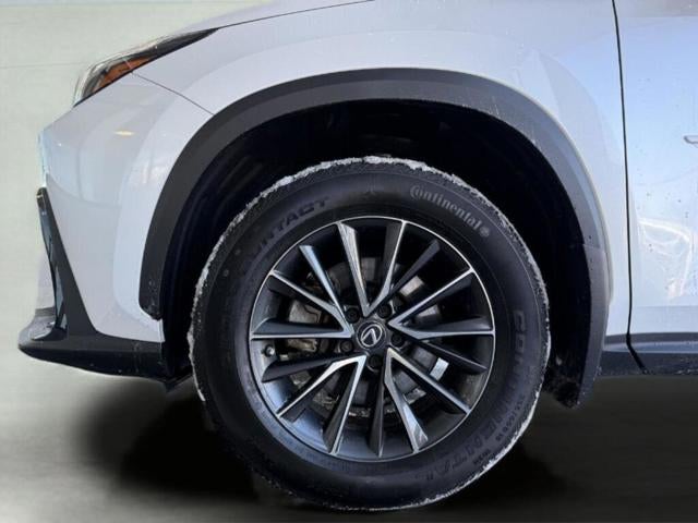 2022 Lexus NX 350 350