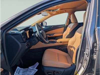 2023 Lexus NX 350 PREMIUM