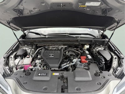 2022 Lexus NX 350 Premium