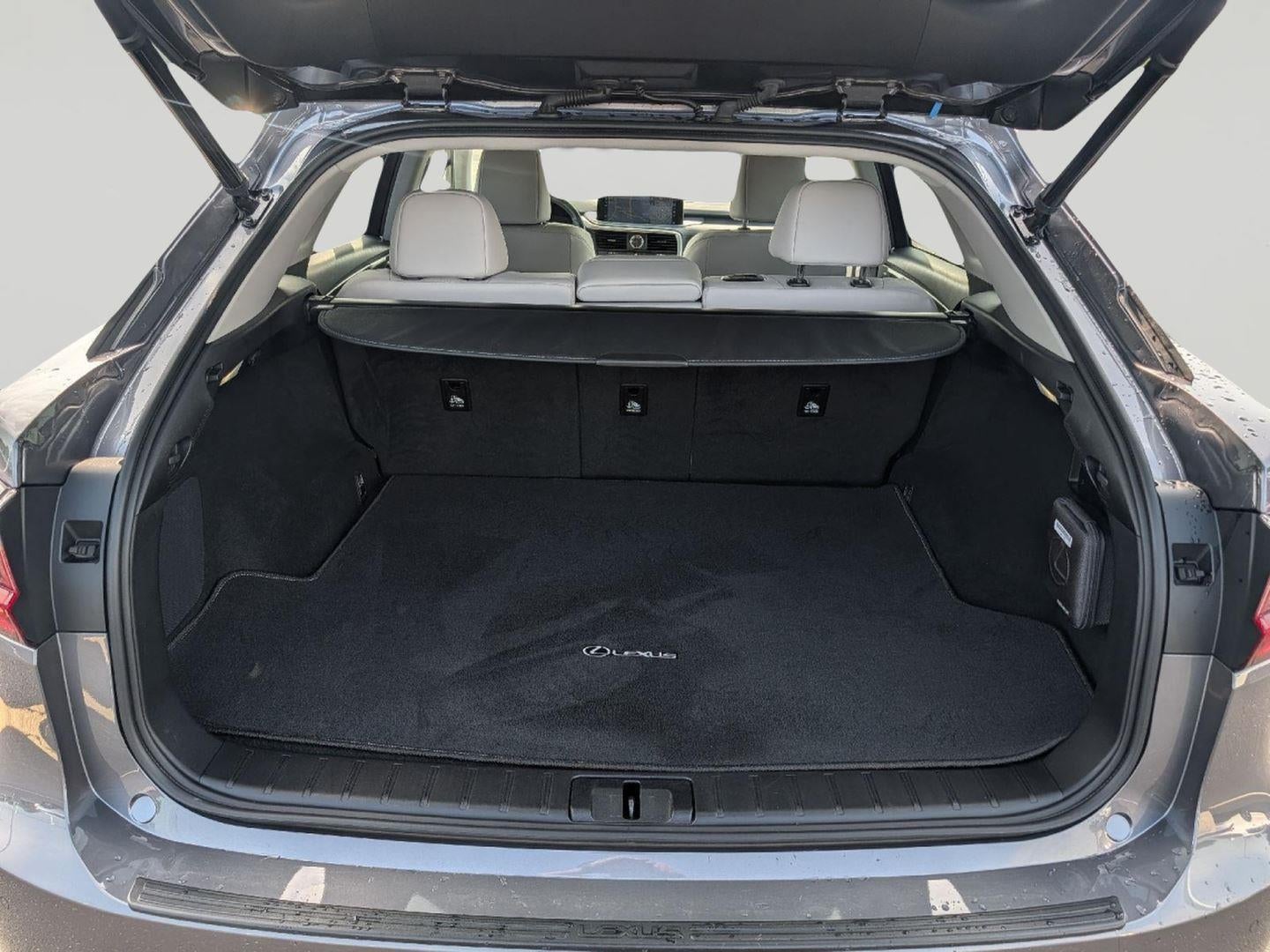 2022 Lexus RX 350 RX 350