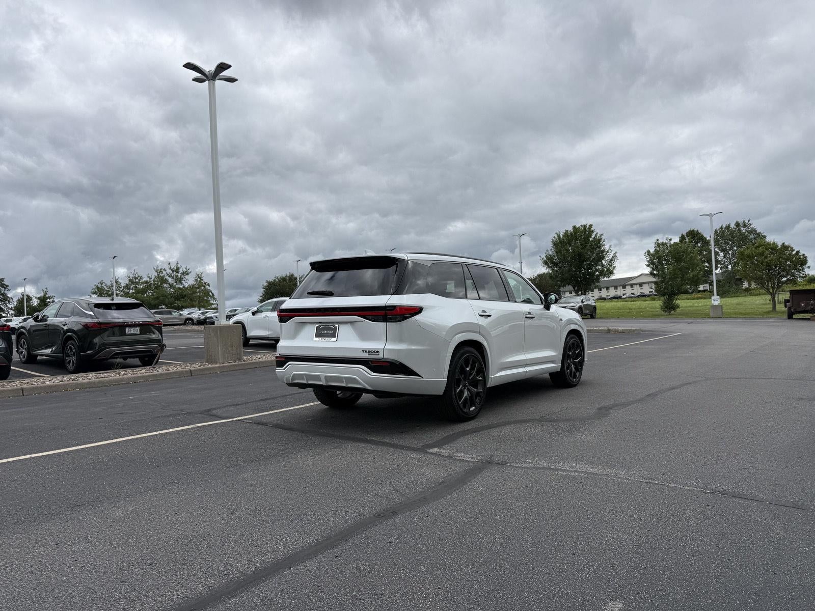 2025 Lexus Tx 500H TX 500h F SPORT Luxury