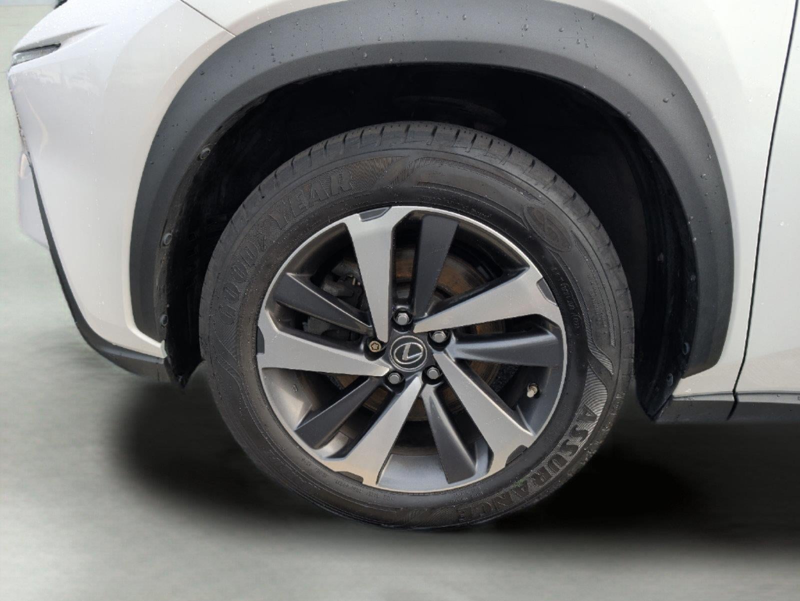 2018 Lexus Nx 300 NX 300